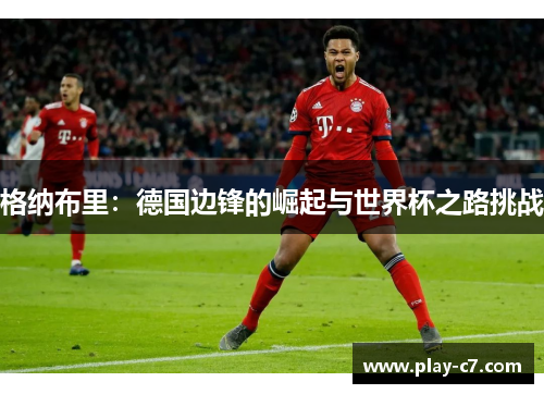 格纳布里：德国边锋的崛起与世界杯之路挑战