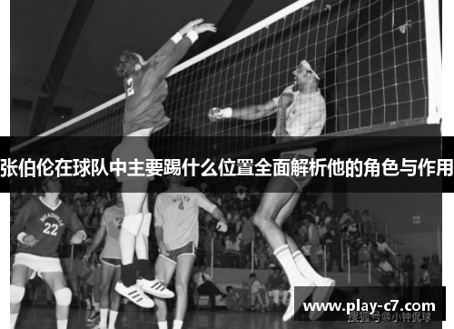 张伯伦在球队中主要踢什么位置全面解析他的角色与作用