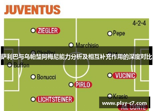 萨利巴与乌帕楚阿梅尼能力分析及相互补充作用的深度对比