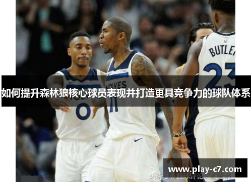 如何提升森林狼核心球员表现并打造更具竞争力的球队体系