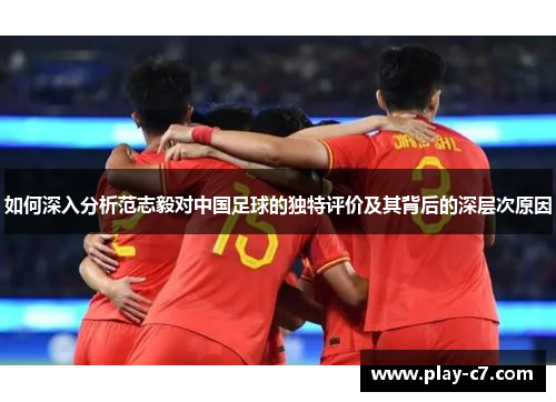 如何深入分析范志毅对中国足球的独特评价及其背后的深层次原因