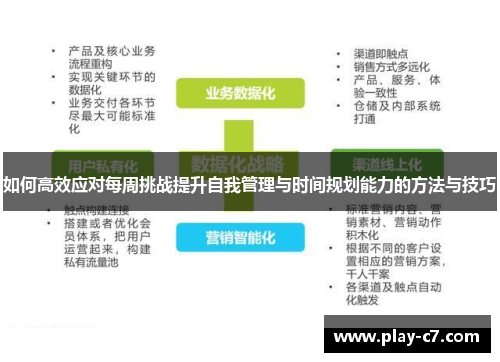 如何高效应对每周挑战提升自我管理与时间规划能力的方法与技巧