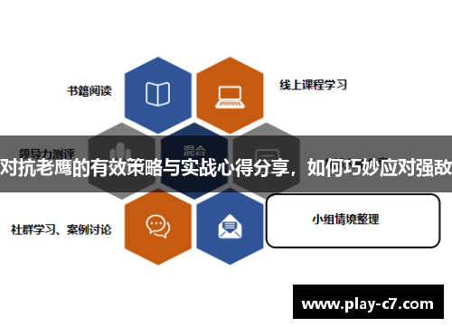 对抗老鹰的有效策略与实战心得分享，如何巧妙应对强敌