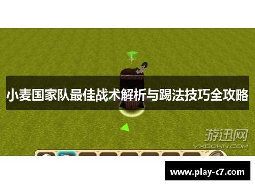 小麦国家队最佳战术解析与踢法技巧全攻略